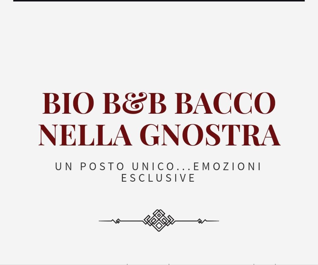 Bio B&B Bacco Nella Gnostra Altamura Buitenkant foto